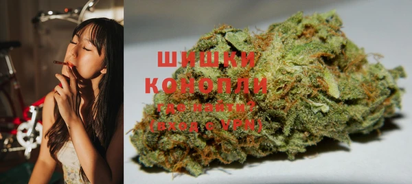 ПСИЛОЦИБИНОВЫЕ ГРИБЫ Алексин