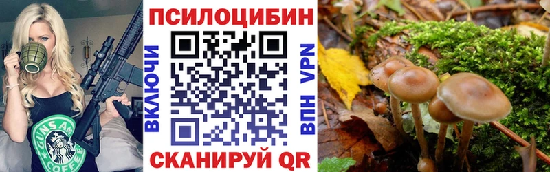 Галлюциногенные грибы Cubensis  Ленинск 